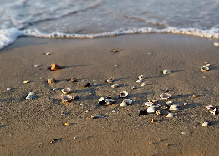 Modern Near The - Beahost Μπιμπιόνε