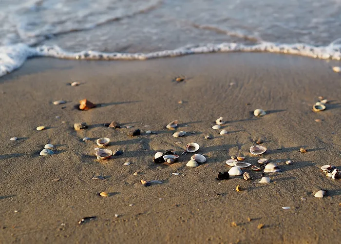 Modern Near The - Beahost Lägenhet *